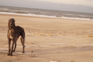 Die sanfte Emily stellt sich vor...